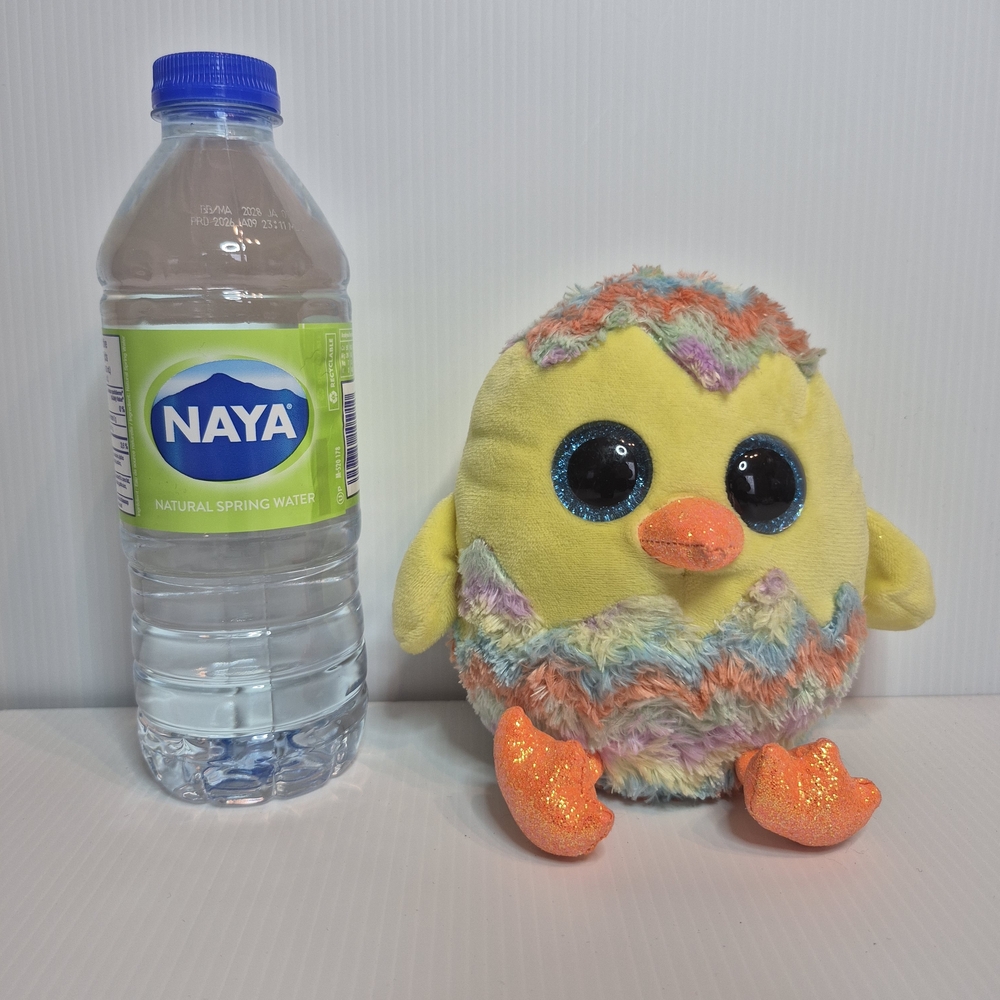 TY BEANIE BOOS "CORWIN"